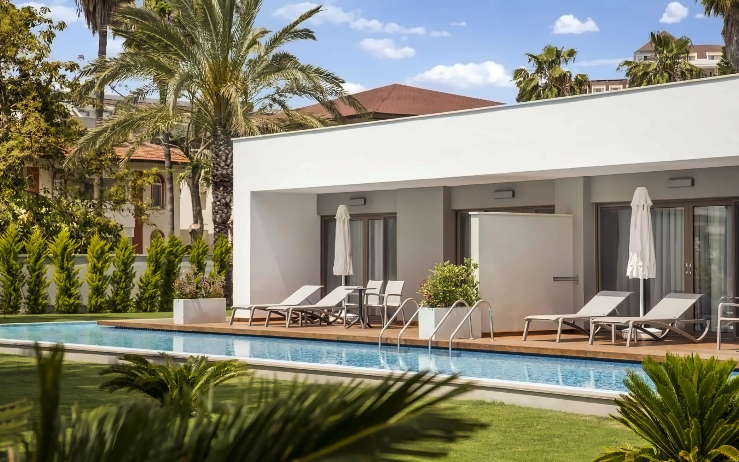 Nazwa: Acanthus Cennet Barut Collection