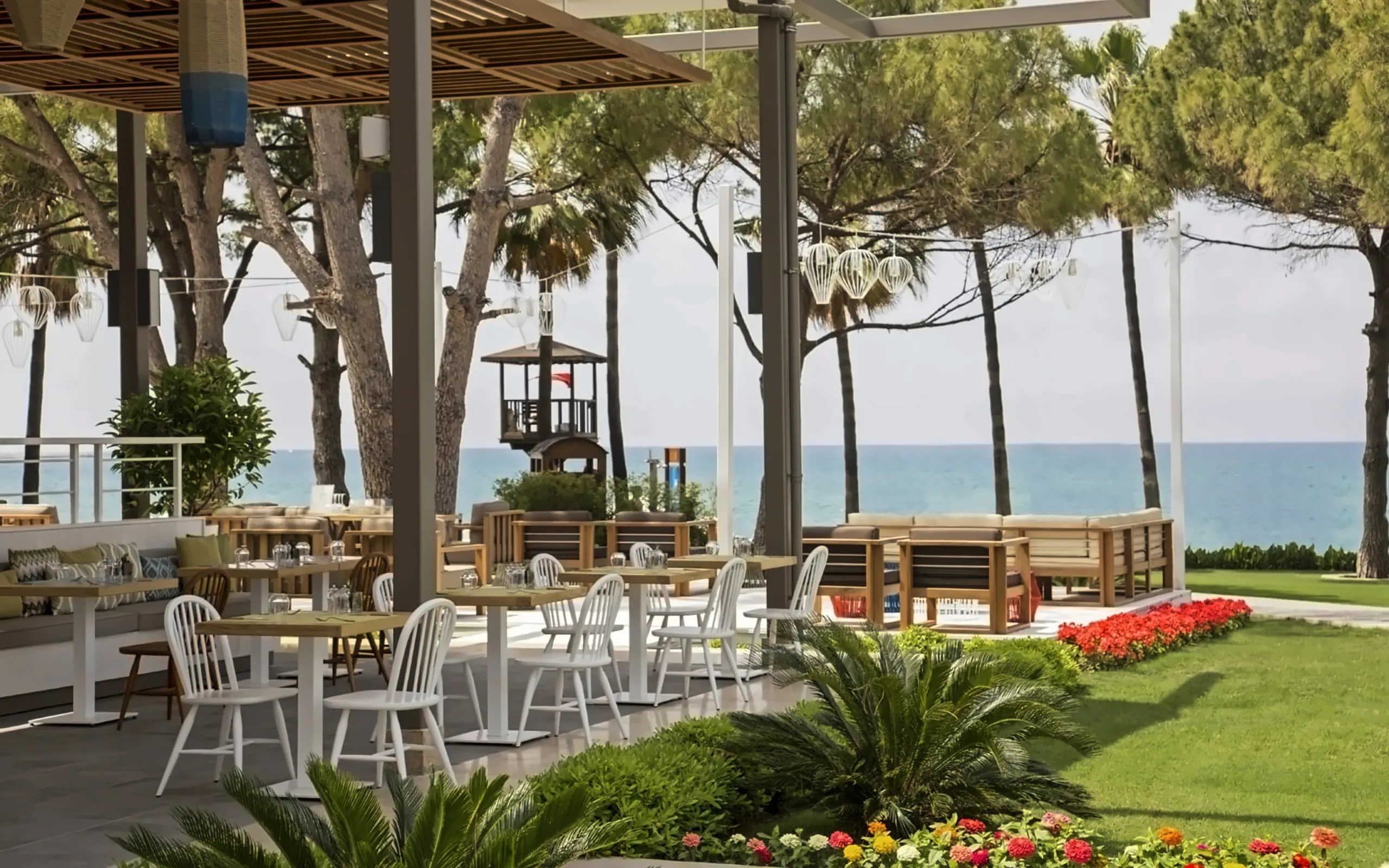 Nazwa: Acanthus Cennet Barut Collection