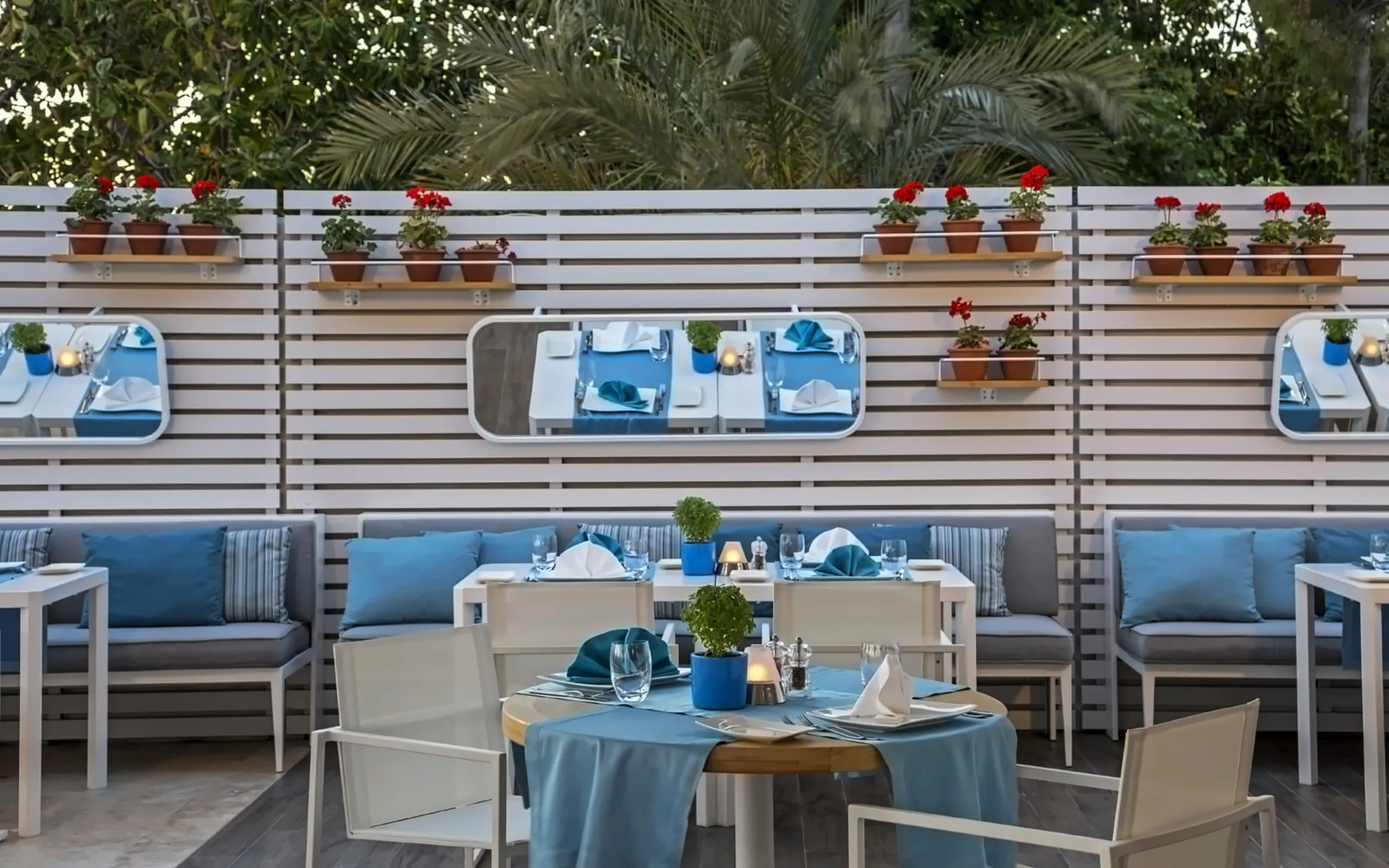 Nazwa: Acanthus Cennet Barut Collection