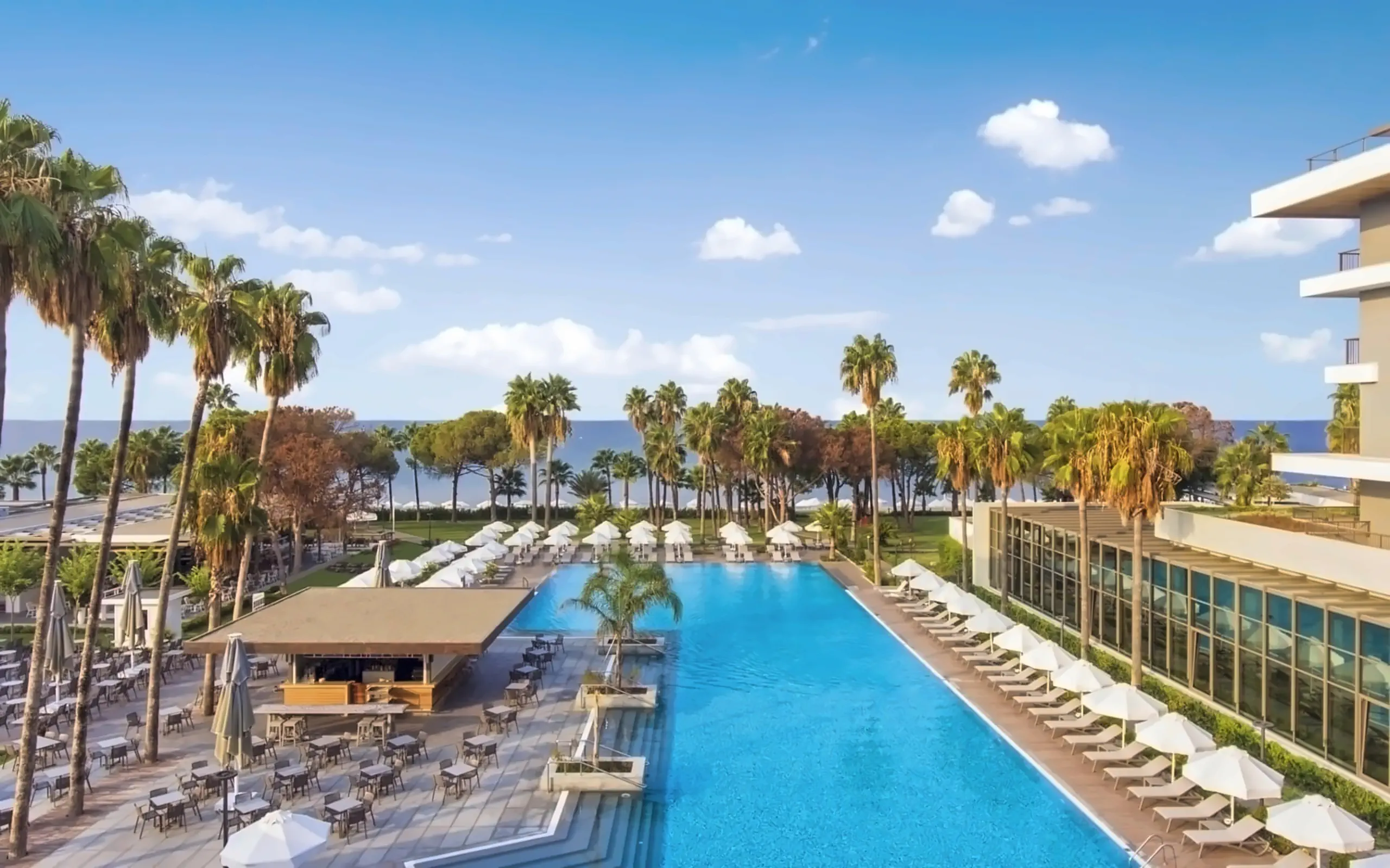 Nazwa: Acanthus Cennet Barut Collection
