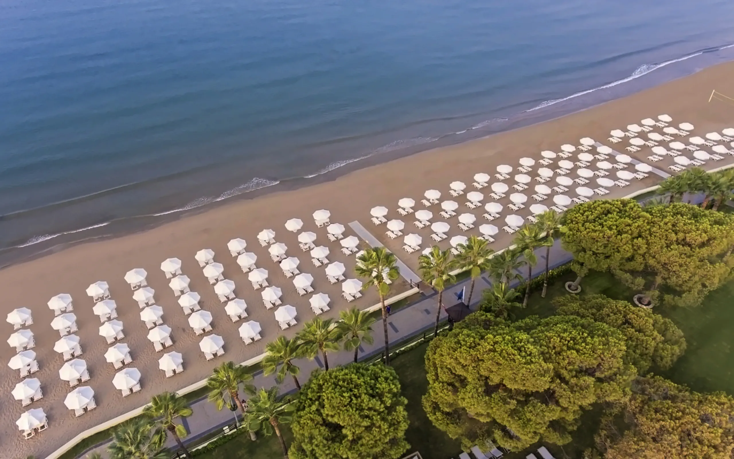 Nazwa: Acanthus Cennet Barut Collection