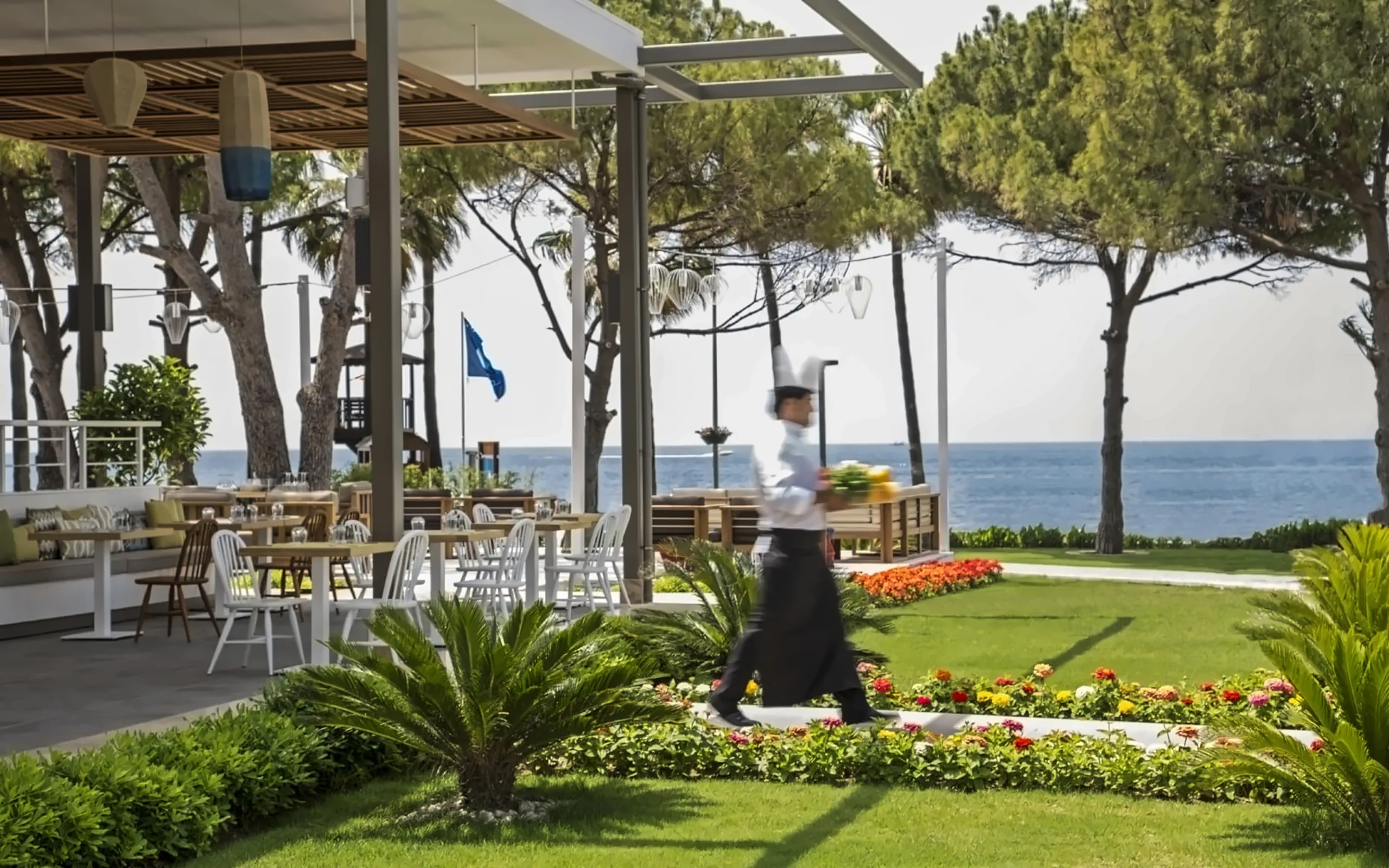 Nazwa: Acanthus Cennet Barut Collection