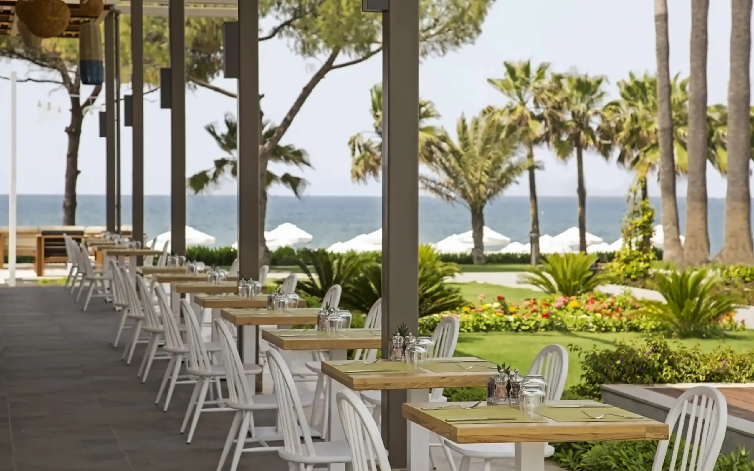 Nazwa: Acanthus Cennet Barut Collection