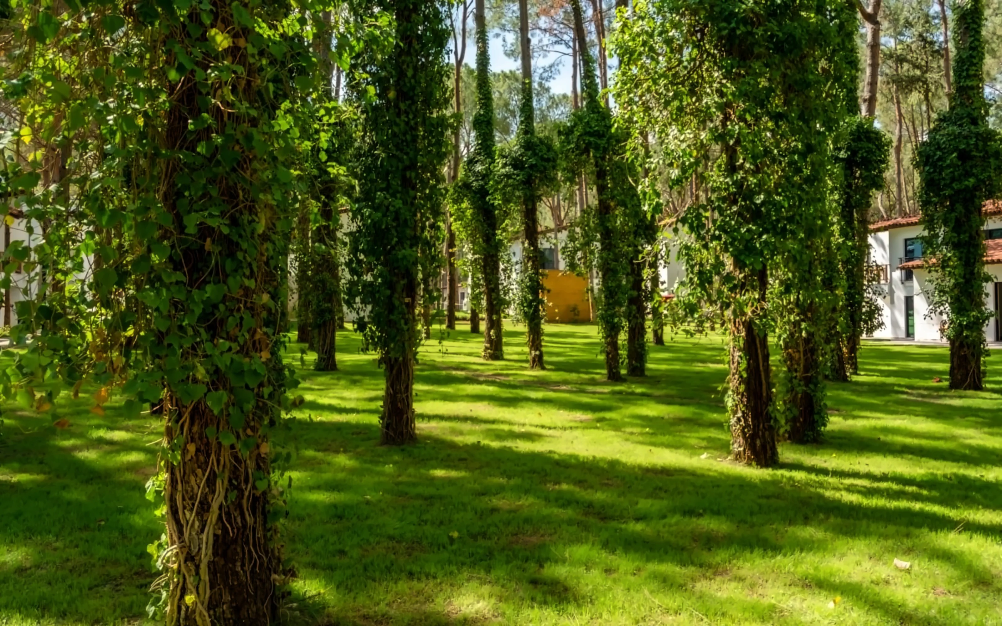 Nazwa: Baia Salima Kemer