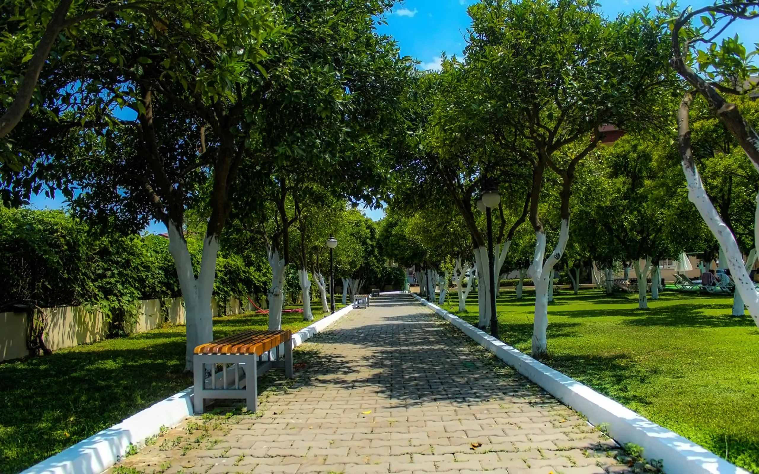 Castle Park - zdjęcie 30