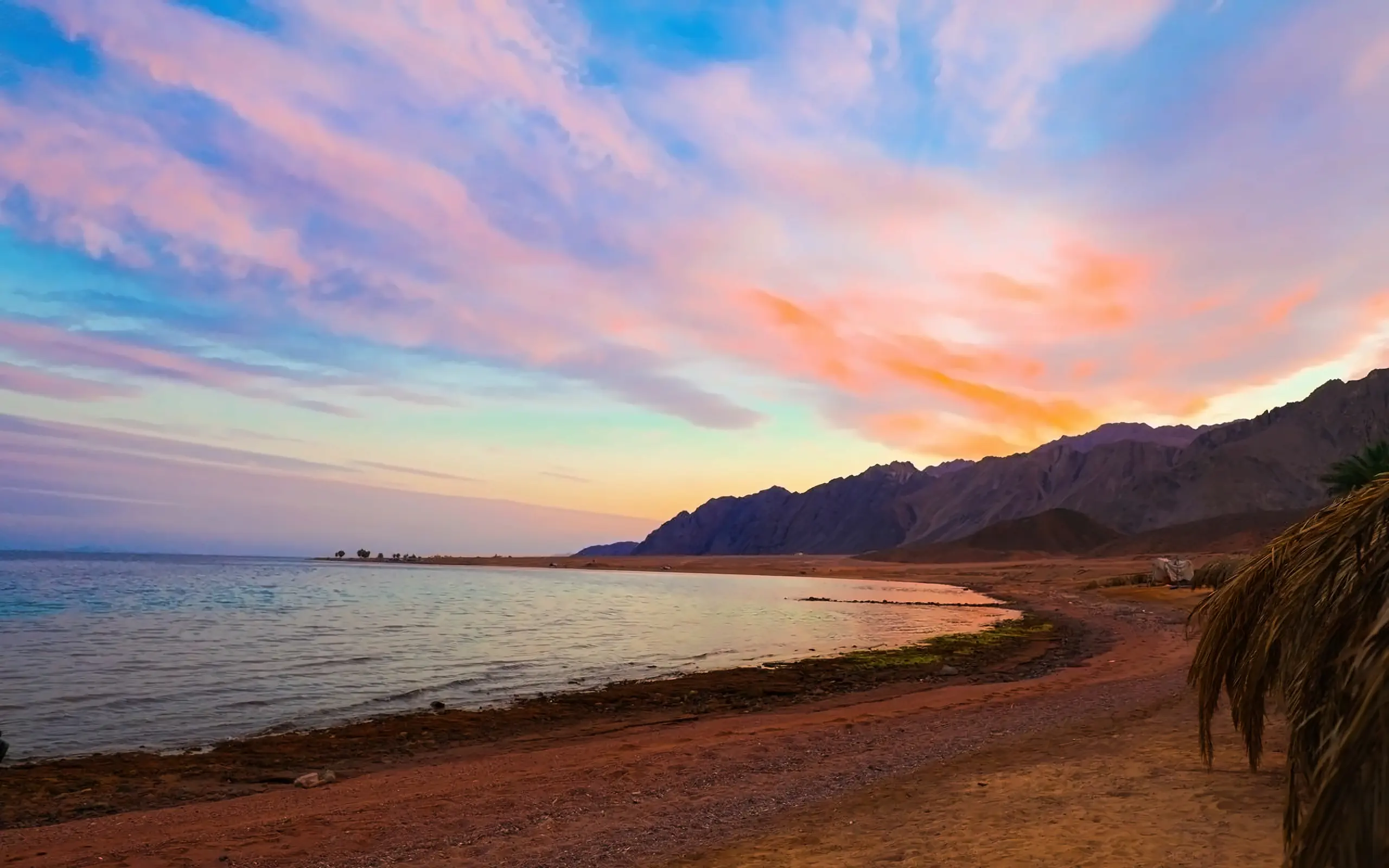 Ecotel Dahab Bay View Resort - zdjęcie 23