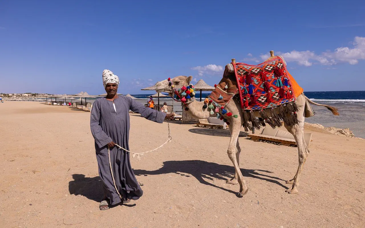 Nazwa: Bliss Nada Beach Resorts (ex. Hotelux Jolie Beach)