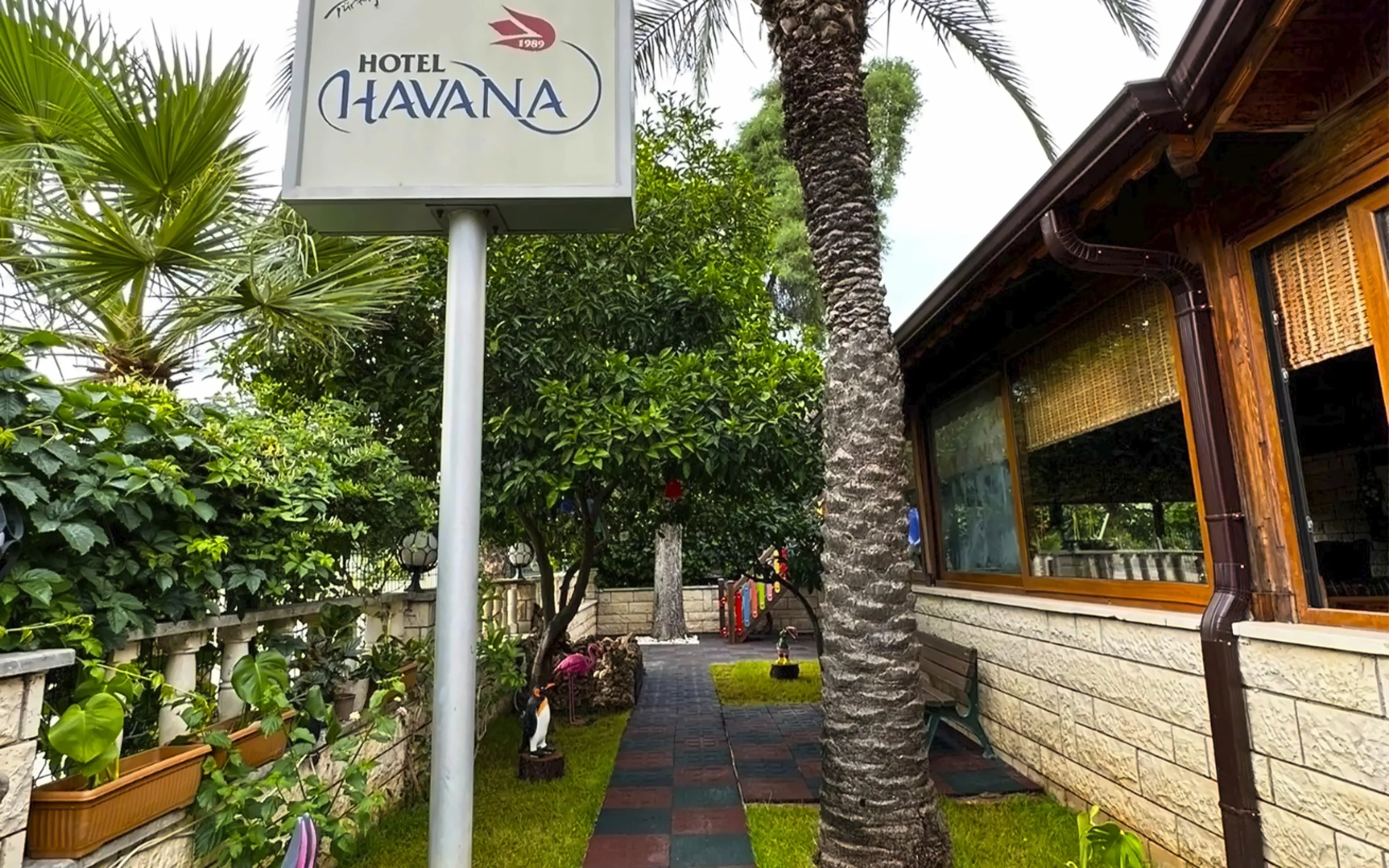 Havana (Kemer) - zdjęcie 5