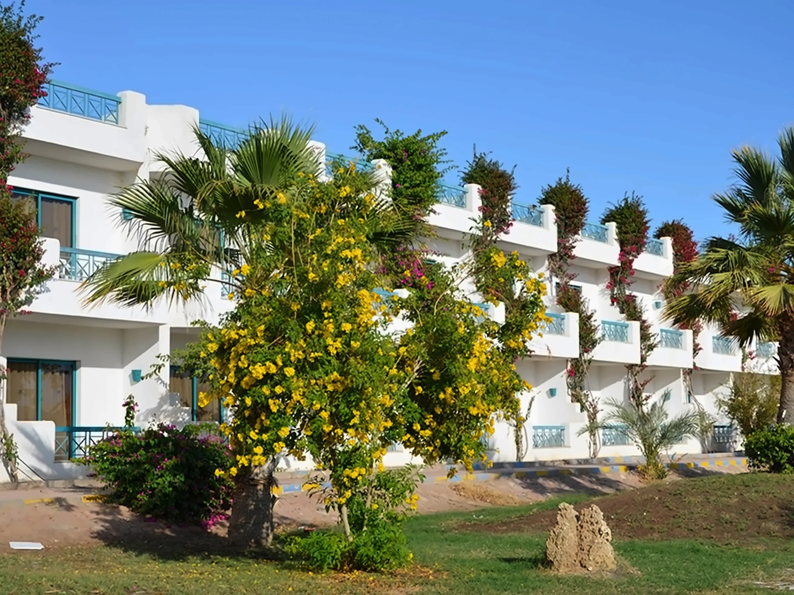 Sharm Cliff Resort - zdjęcie 17