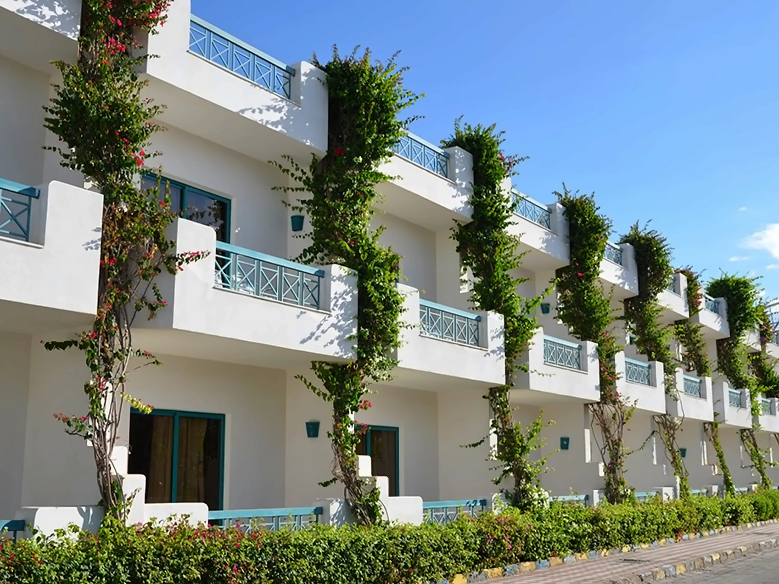 Sharm Cliff Resort - zdjęcie 16