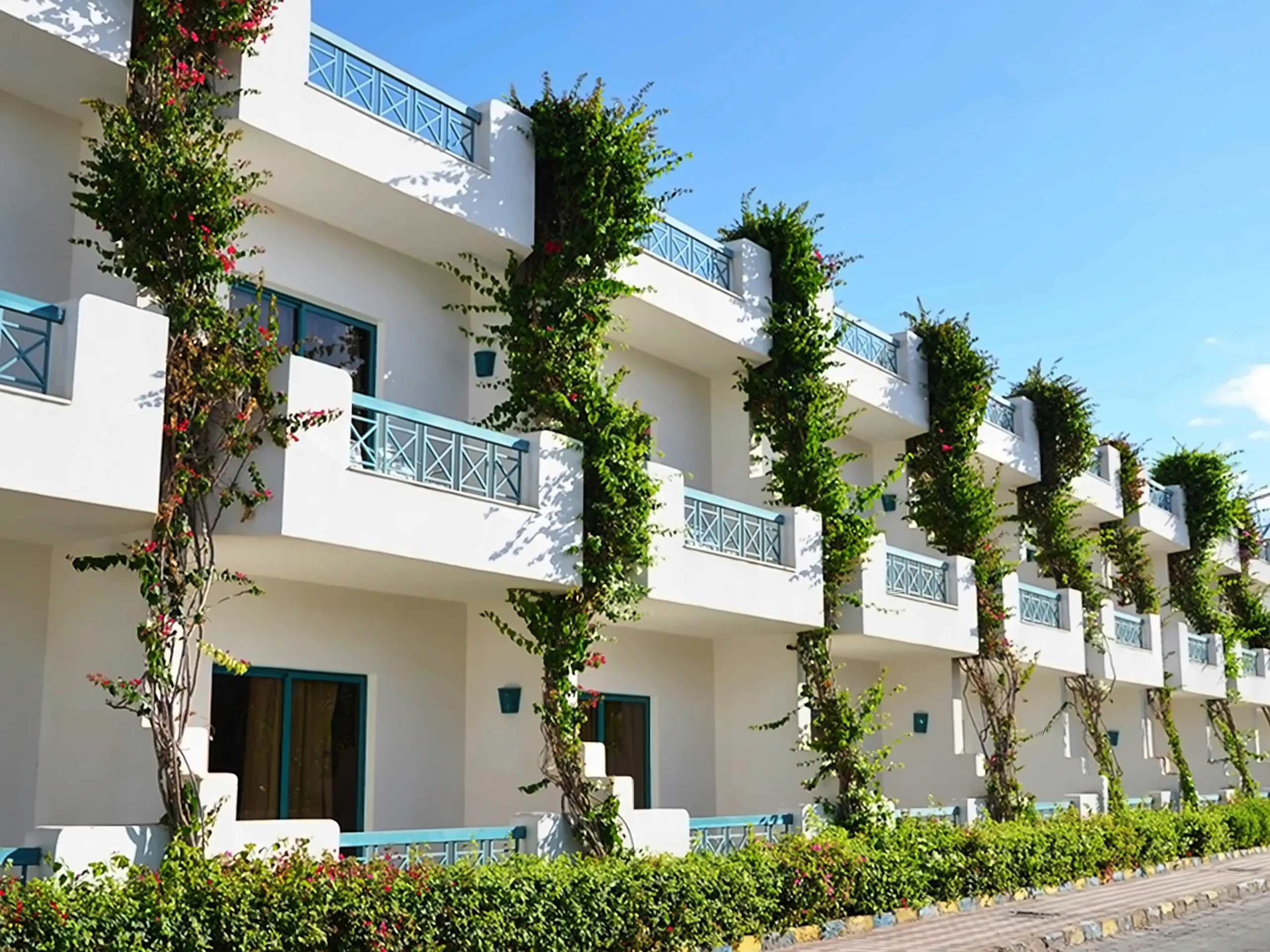Sharm Cliff Resort - zdjęcie 2
