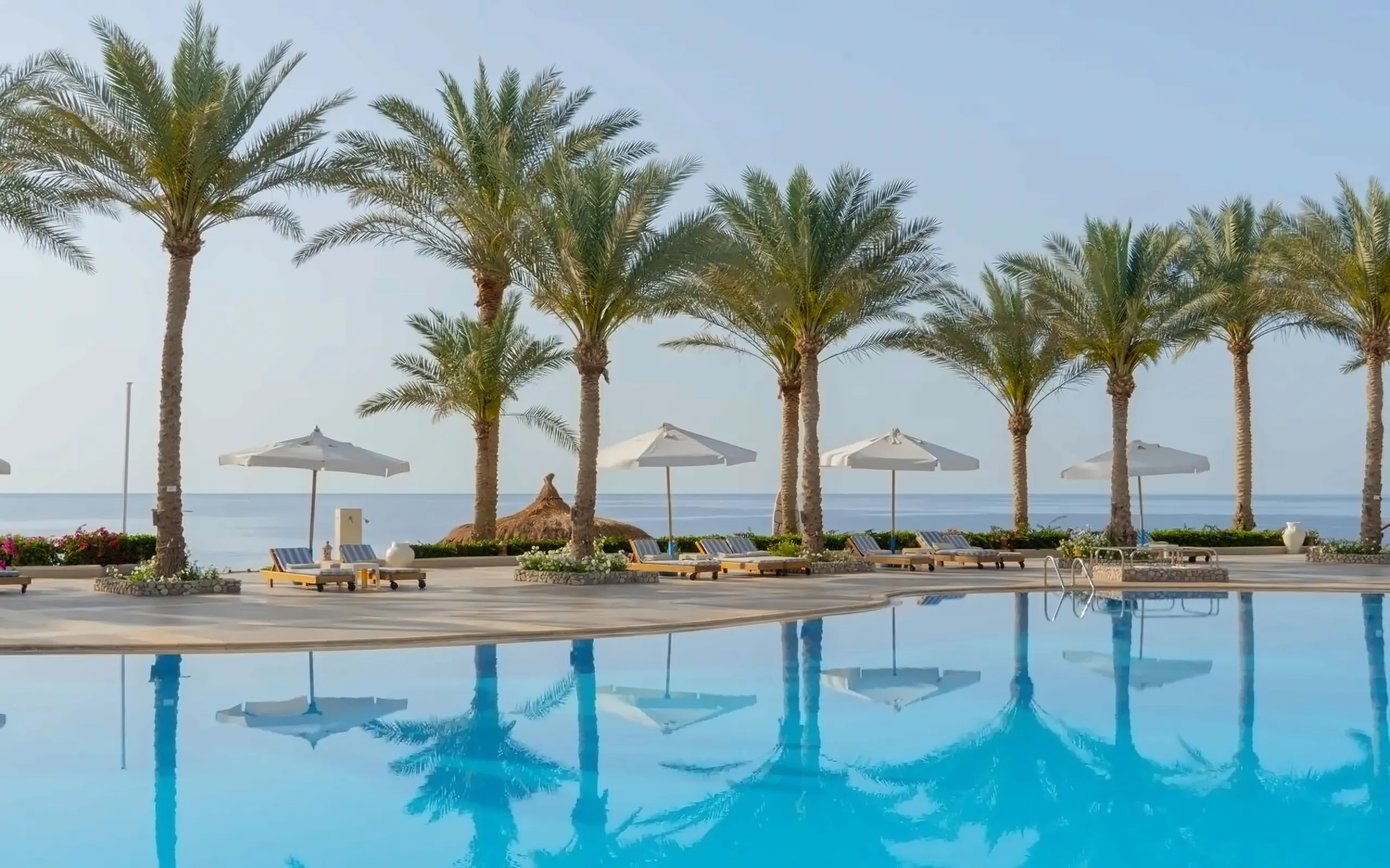 Sharm Club Beach Resort photo 3