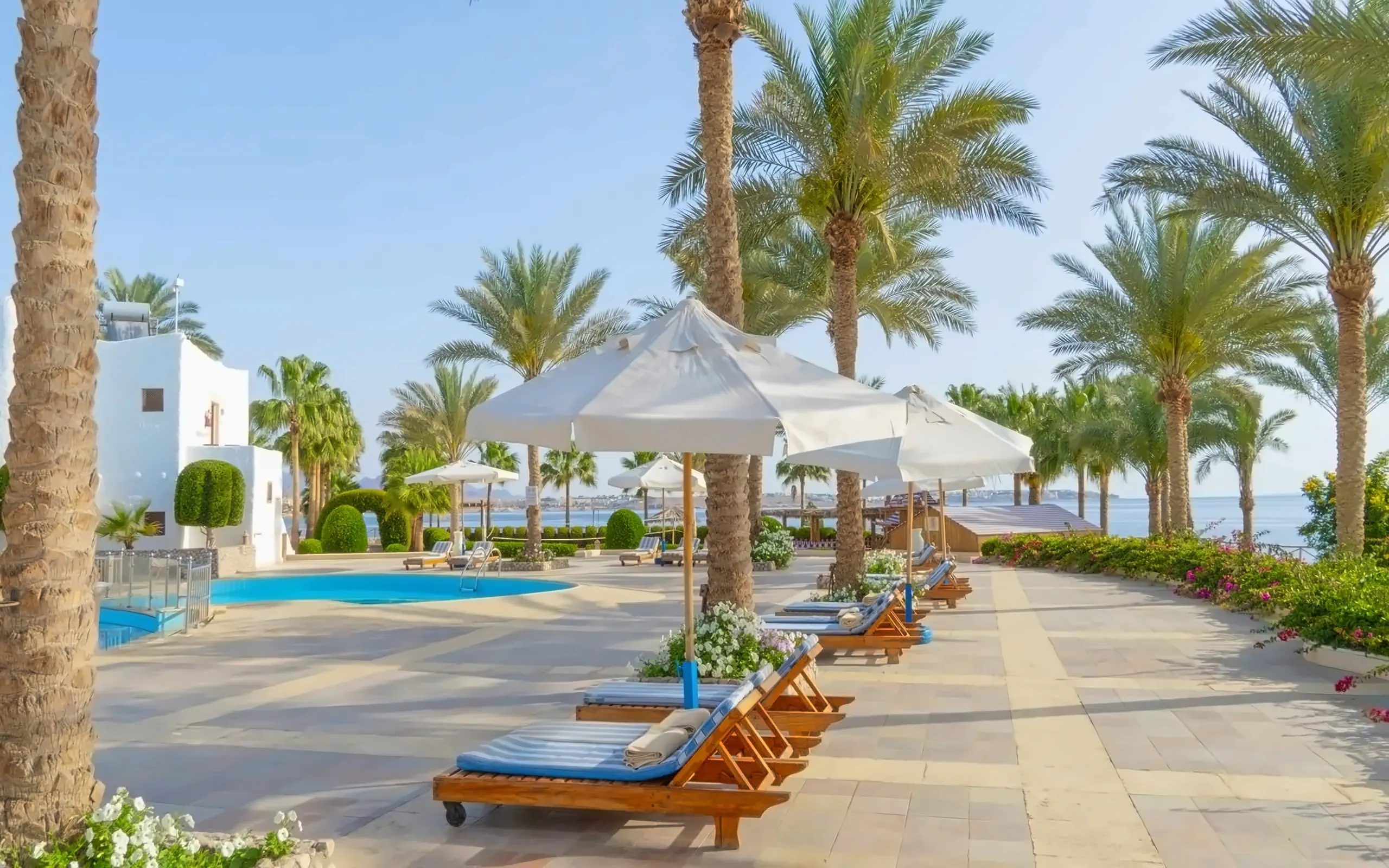 Sharm Club Beach Resort (ex. Labranda Sharm Club) - zdjęcie 8