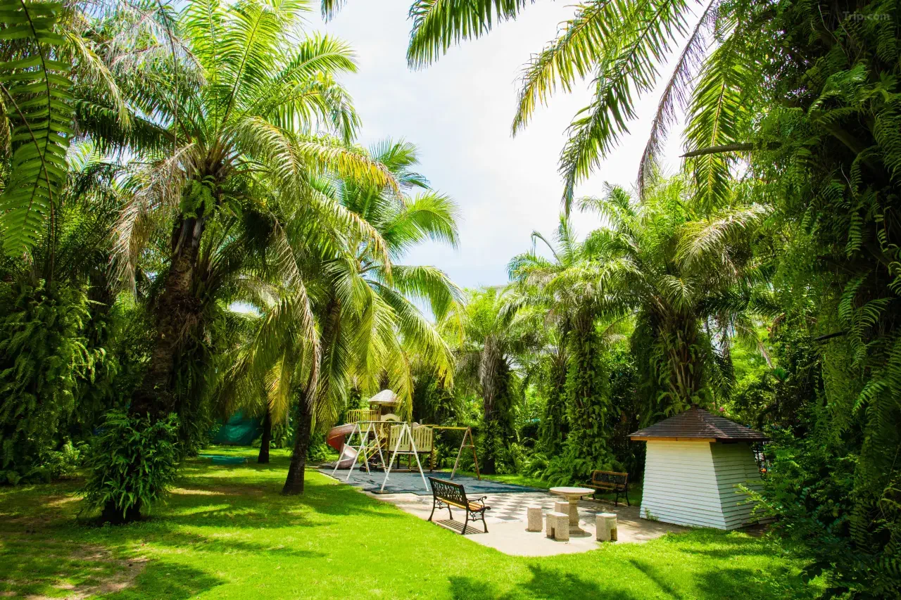 Palm Beach Resort & Spa Sanya - zdjęcie 14