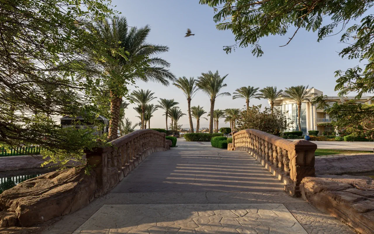 Nazwa: Palm Royale Resort Soma Bay (ex.Sentido Palm Royale)