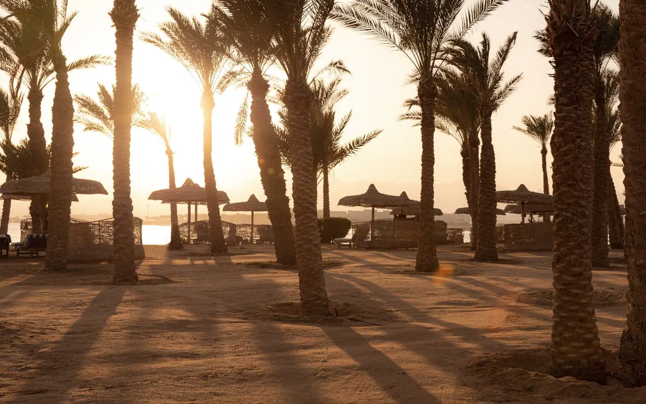Nazwa: Palm Royale Resort Soma Bay (ex.Sentido Palm Royale)