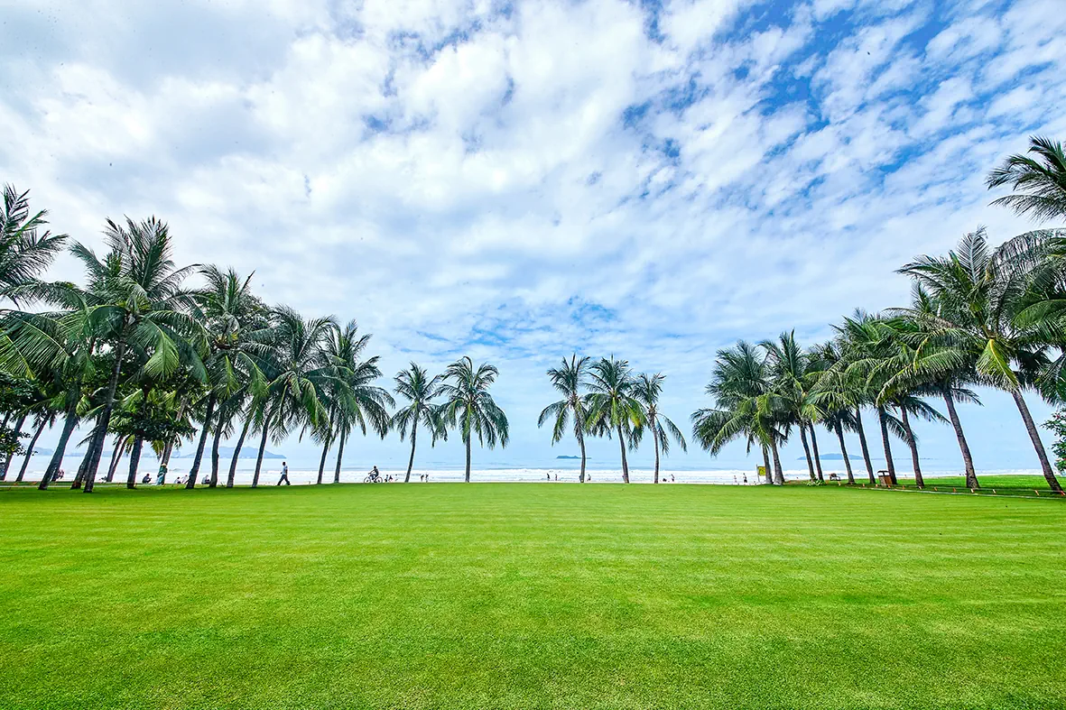 Ocean Sonic Resort Sanya - zdjęcie 8