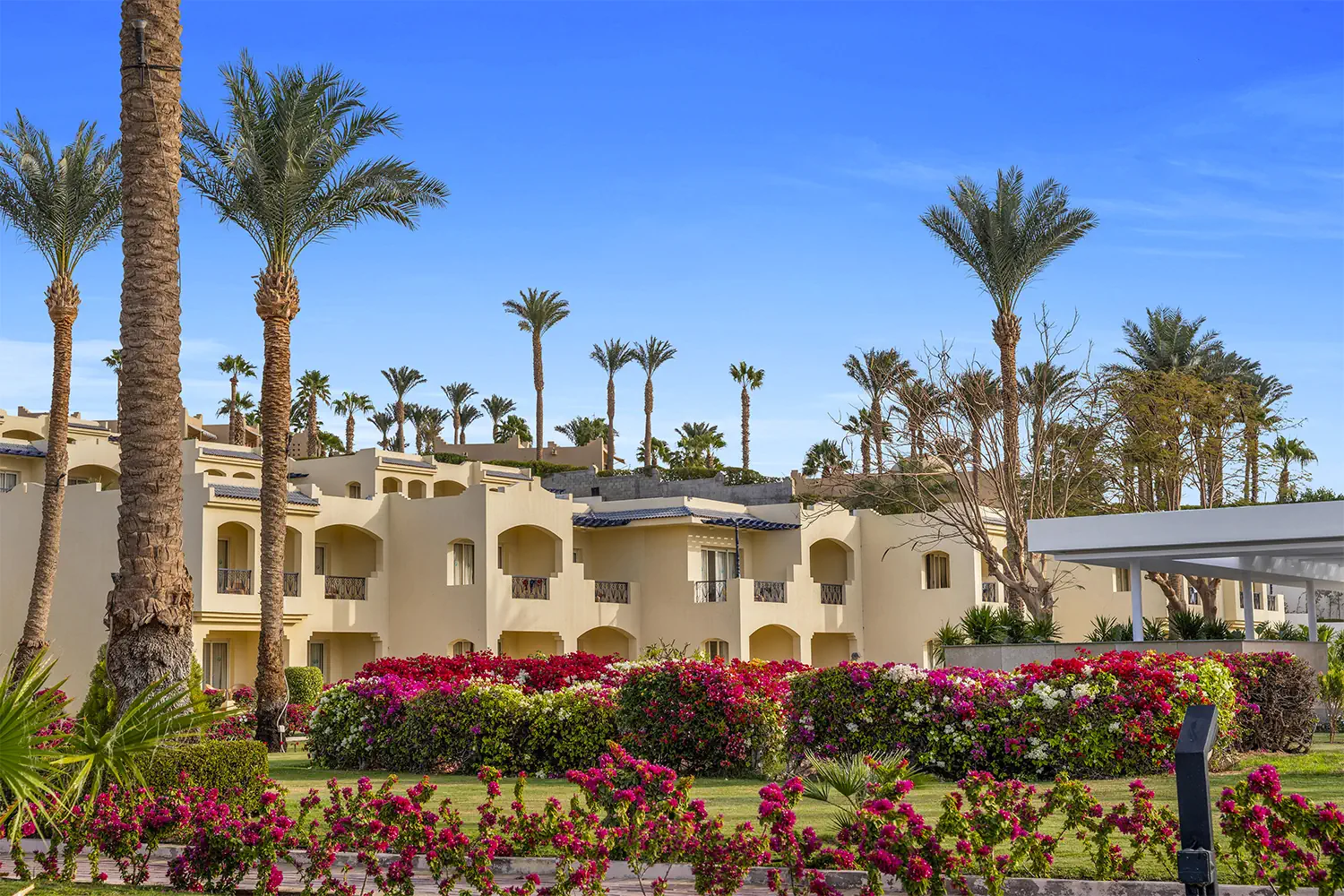 Grand Oasis Resort - zdjęcie 8