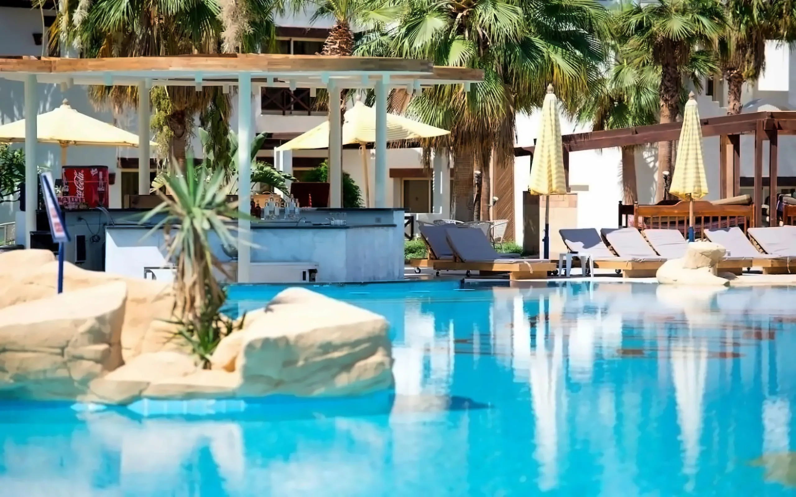Nazwa: Amphoras Aqua (Adult Only +12) ( EX. Shores Golden SSH)