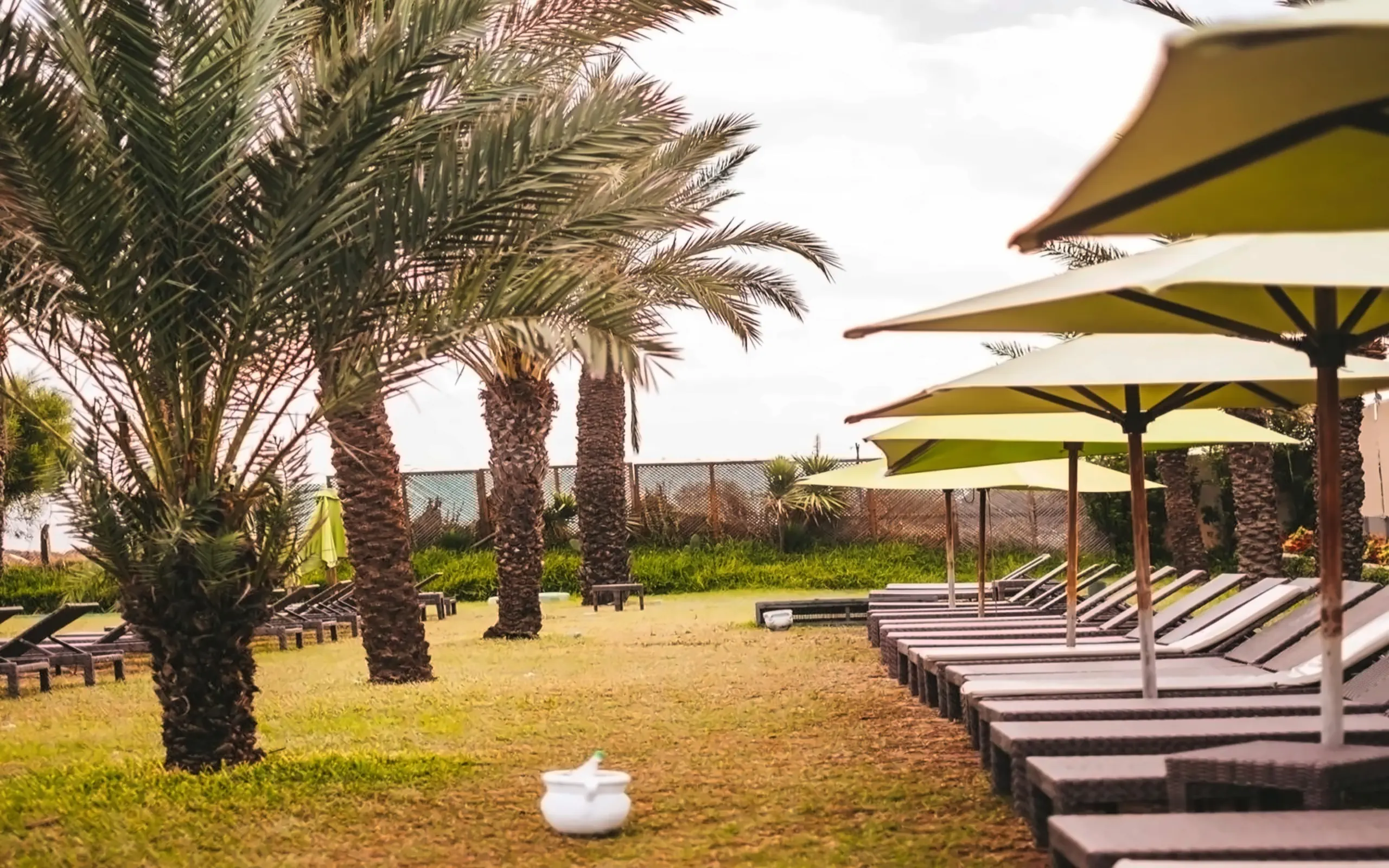 Rosa Beach Thalasso & Spa (ex. Vincci Rosa Beach) - zdjęcie 17