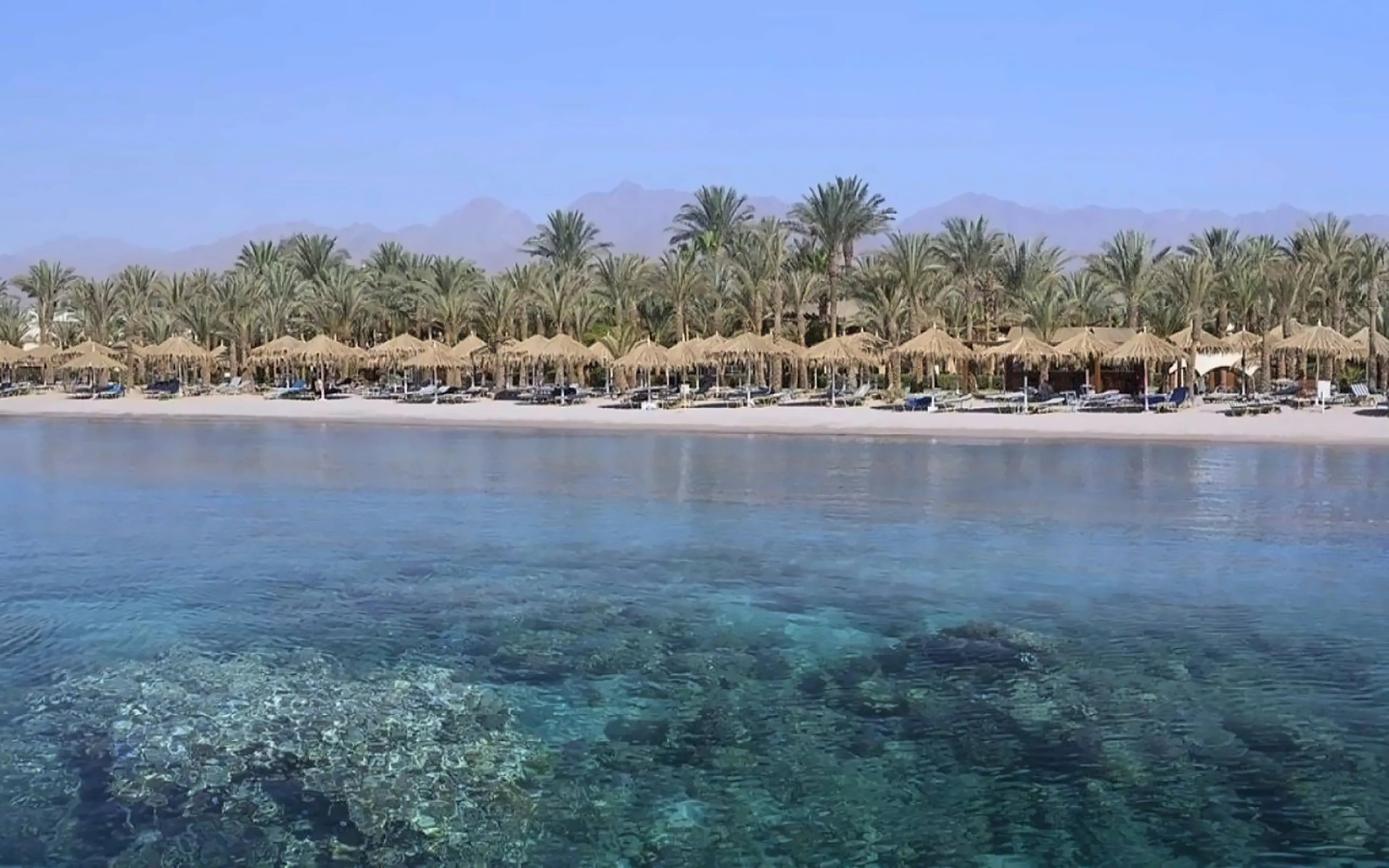 Sharm Dreams Vacation Club photo 1