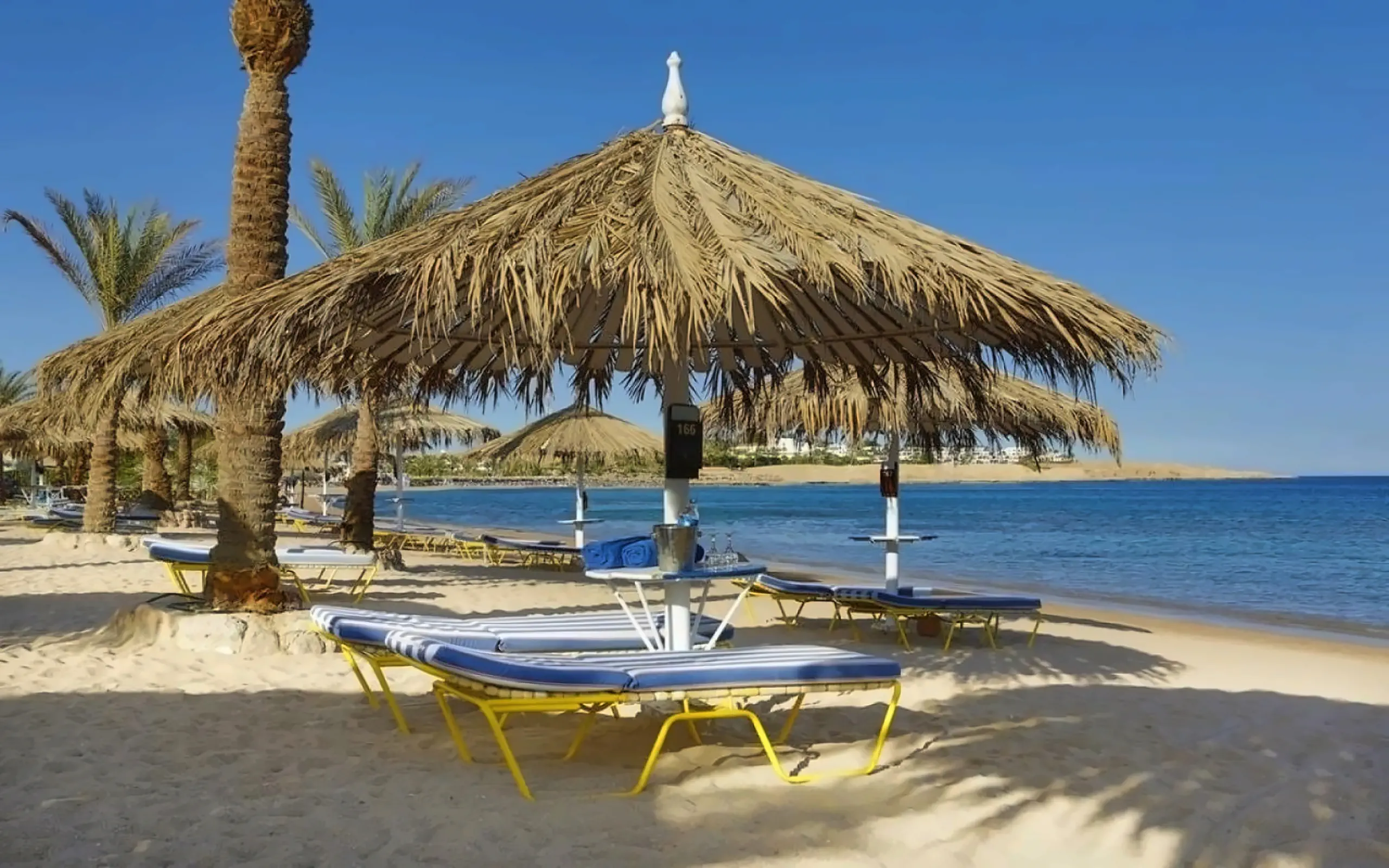 Sharm Dreams Vacation Club photo 2