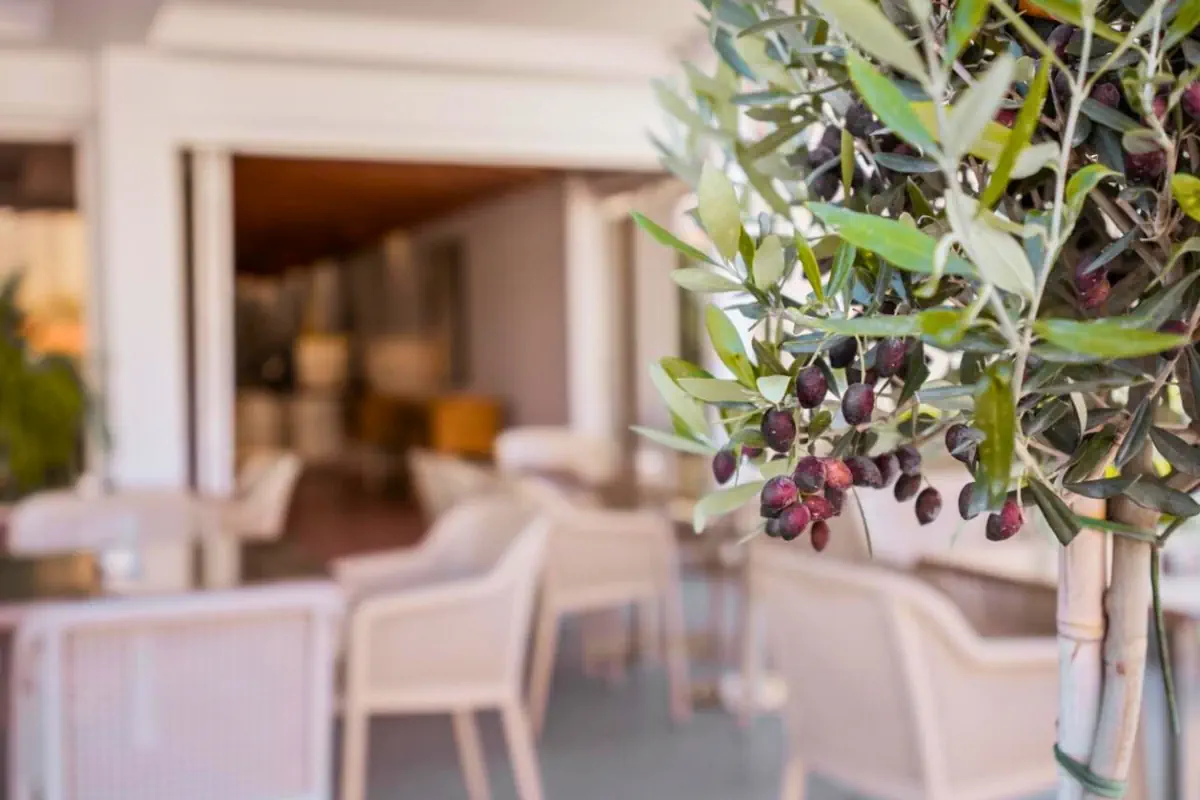 Paul Marie Hotel Apartments - zdjęcie 16