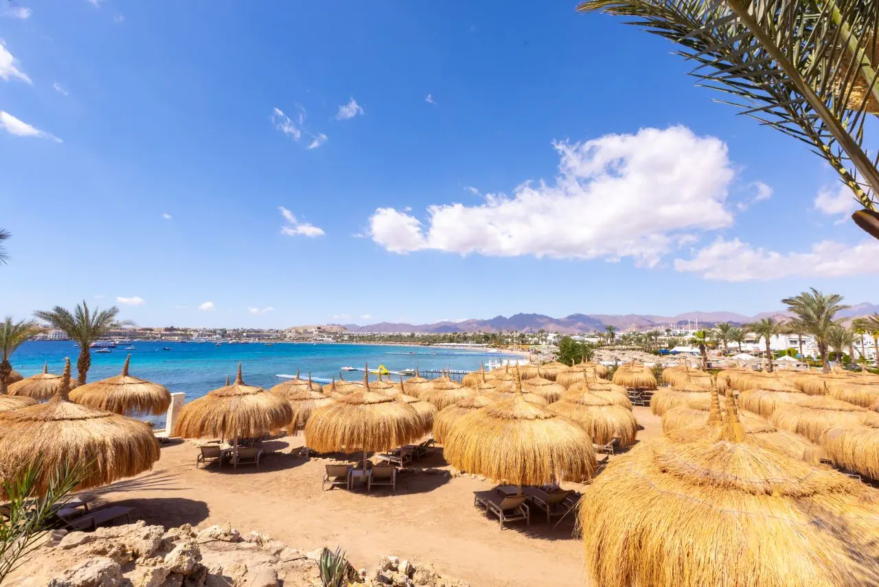 Swissotel Sharm El Sheikh - zdjęcie 24