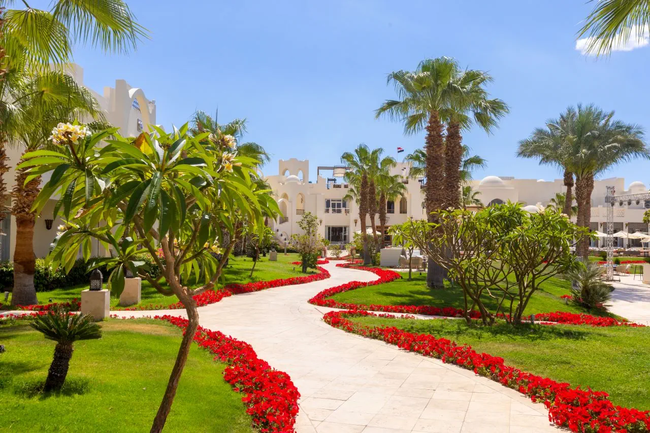 Swissotel Sharm El Sheikh - zdjęcie 4