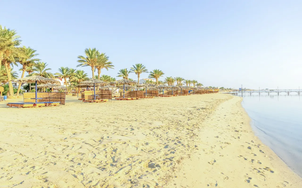 Protels Beach Club & SPA - zdjęcie 18