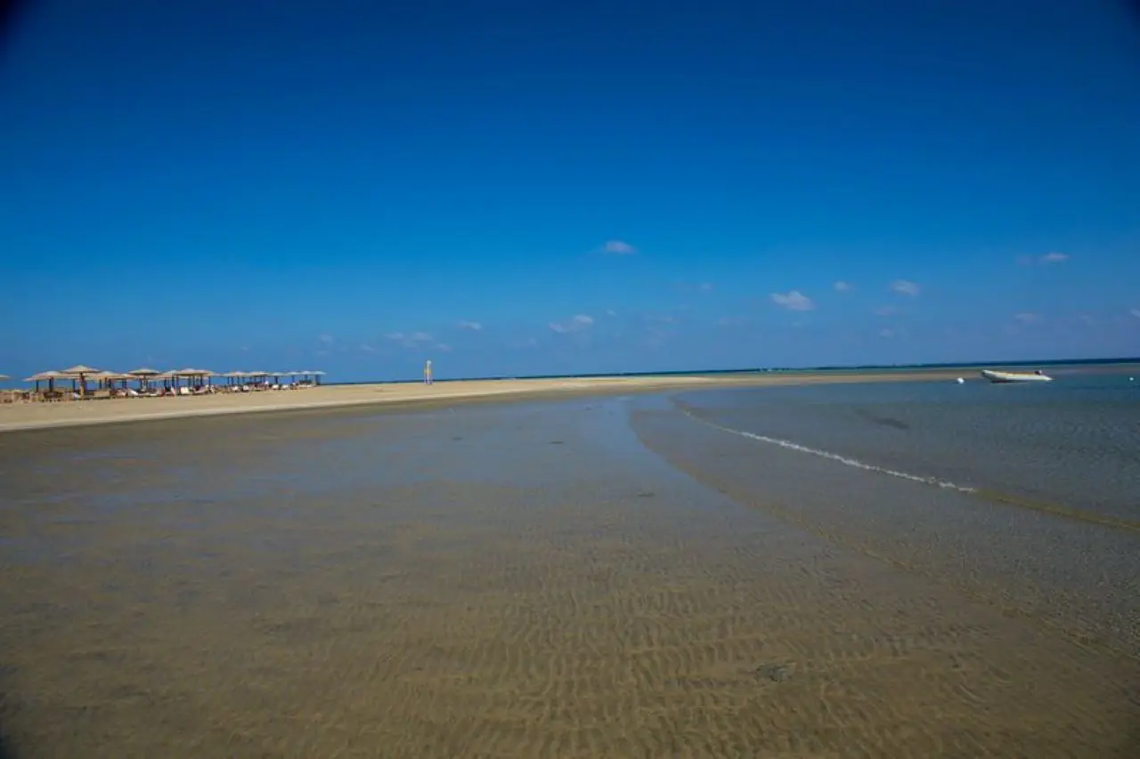 Lahami Bay Beach Resort & Gardens - zdjęcie 6