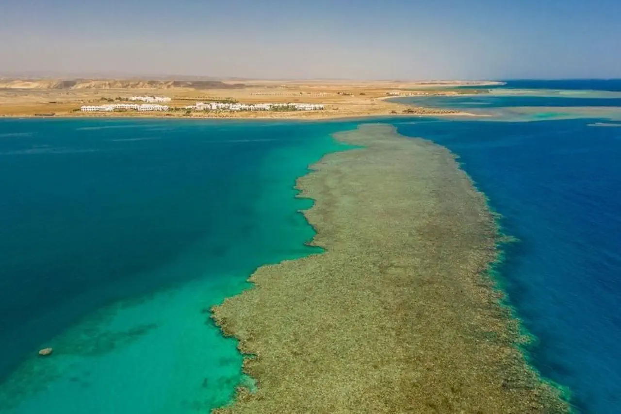 Lahami Bay Beach Resort & Gardens - zdjęcie 7