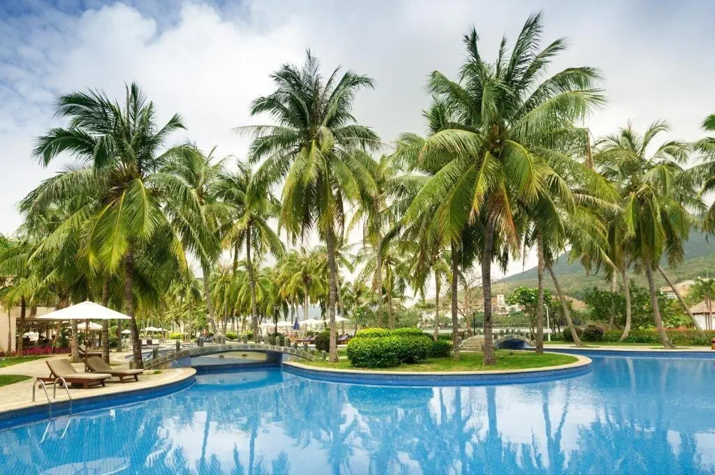 Golden Palm Resort - zdjęcie 5