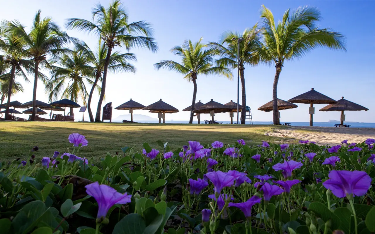 Sanya Chenguang Lacosta Resort - zdjęcie 8