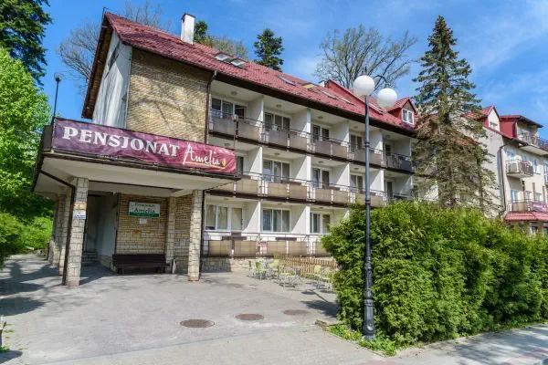 Amelia Zdrój Medical & Spa (ex. Pensjonat Amelia) - zdjęcie 3