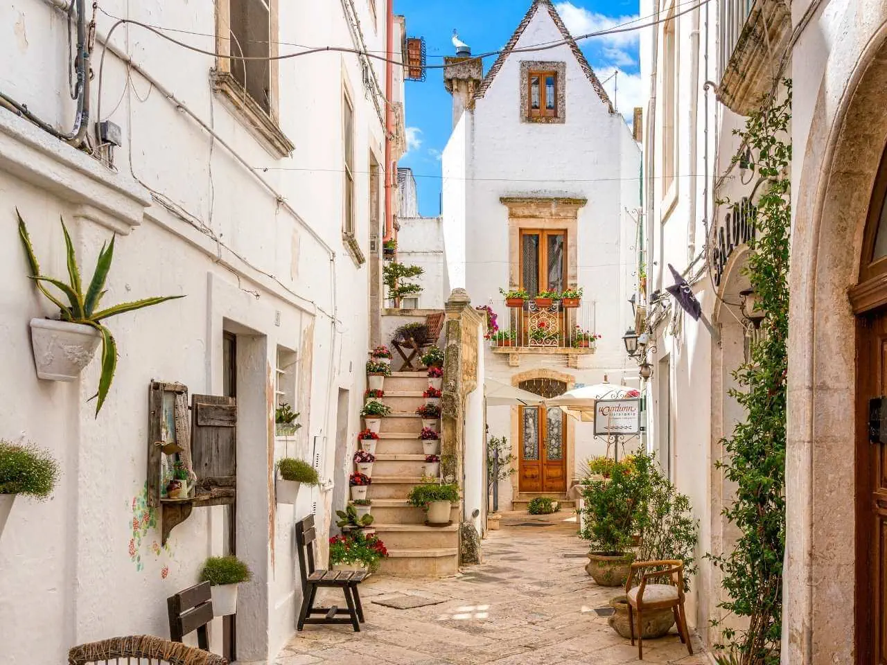 HOTEL: Wycieczka: Apulia – slonce, klify i oliwki