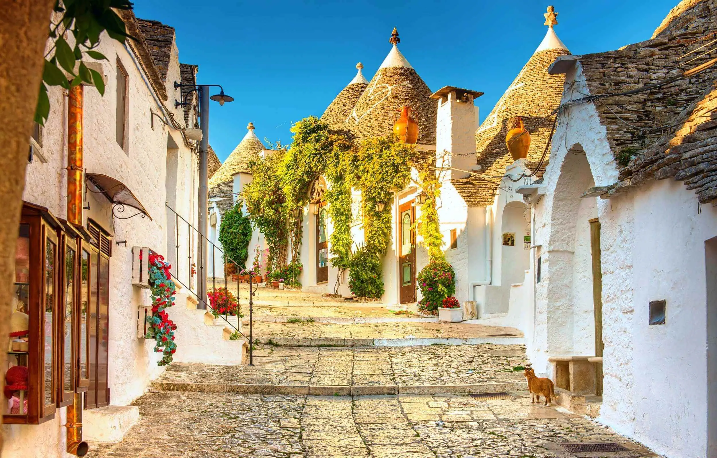 Wycieczka: Apulia – słońce, klify i oliwki