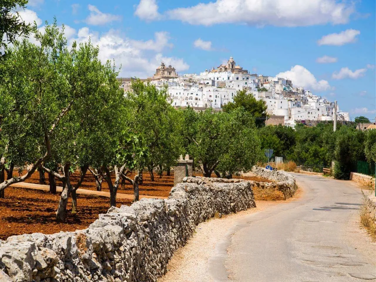 HOTEL: Wycieczka: Apulia – slonce, klify i oliwki