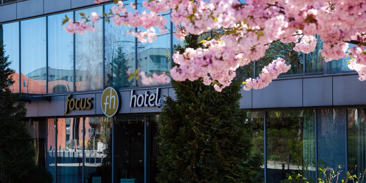 Focus Premium Gdańsk - zdjęcie 18