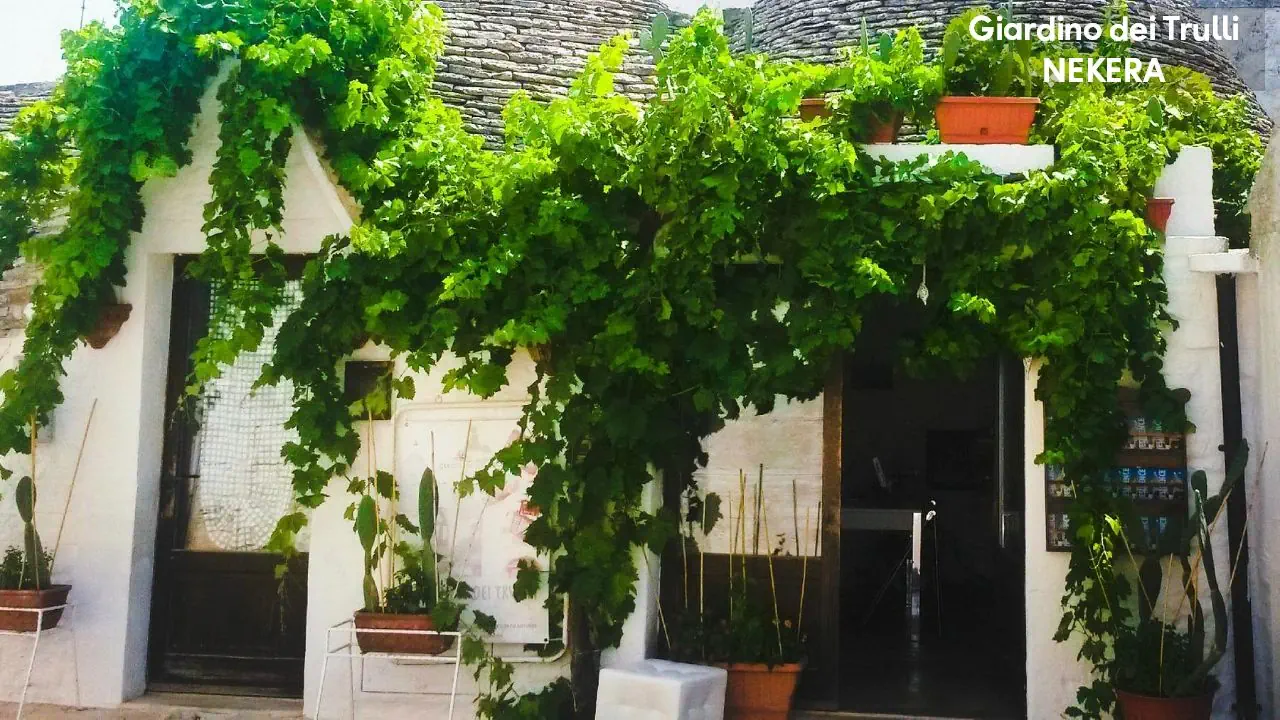 Giardino dei Trulli - zdjęcie 6