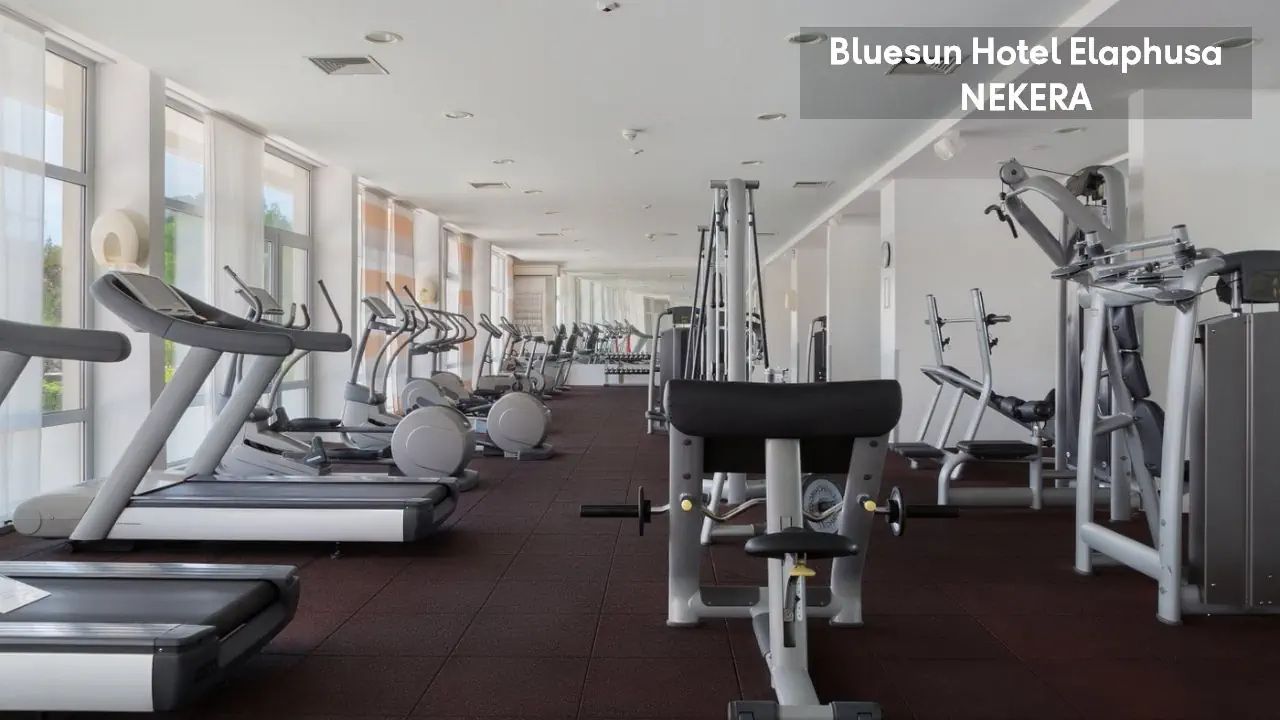 Bluesun Elaphusa