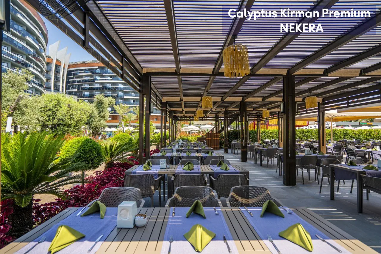 Calyptus Kirman Premium - zdjęcie 18