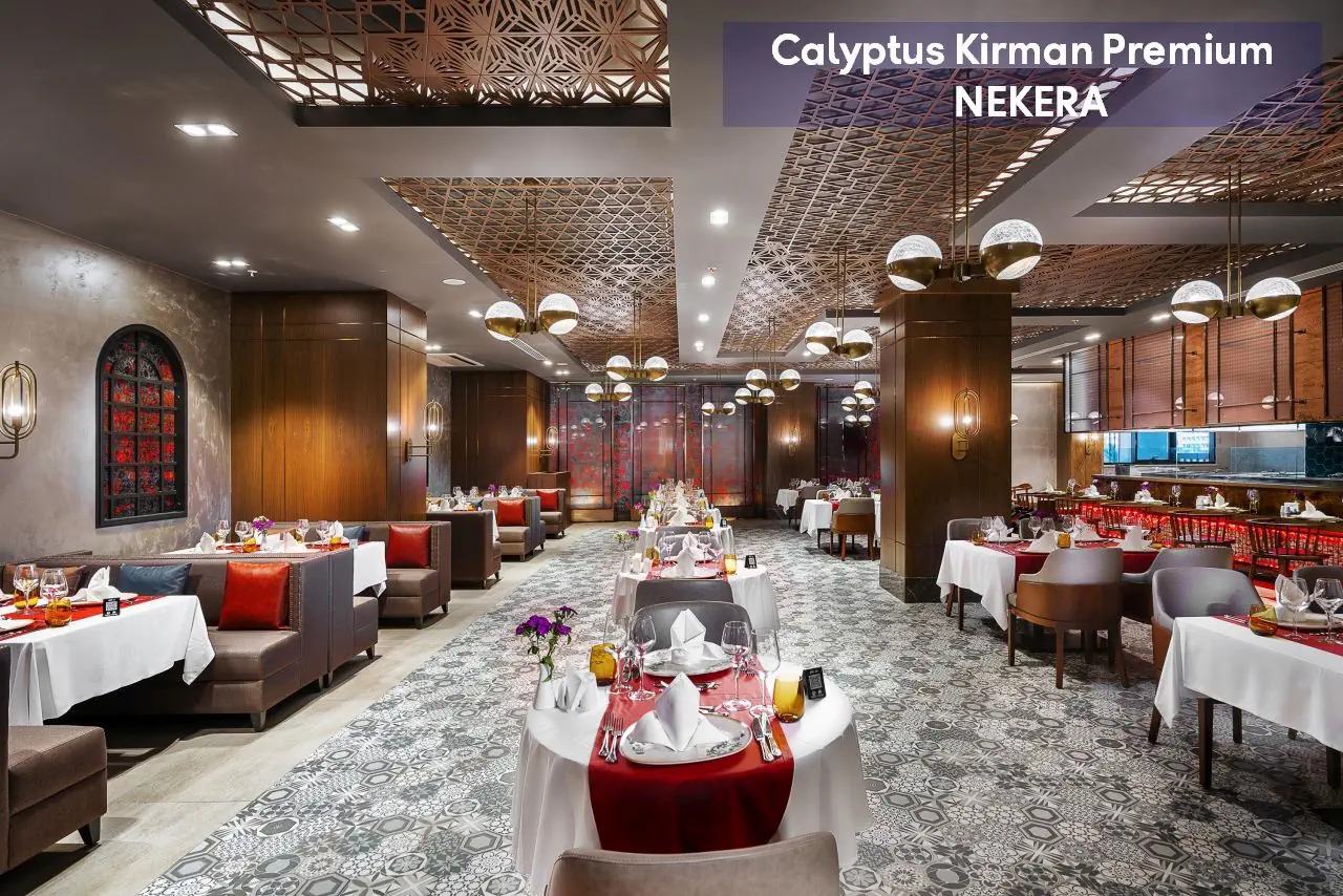 Calyptus Kirman Premium - zdjęcie 16