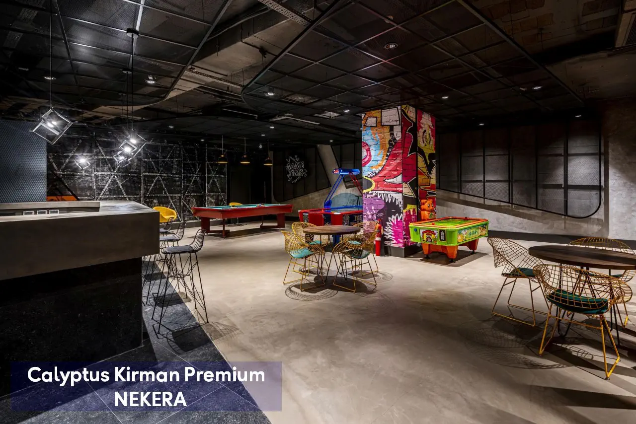 Calyptus Kirman Premium - zdjęcie 40