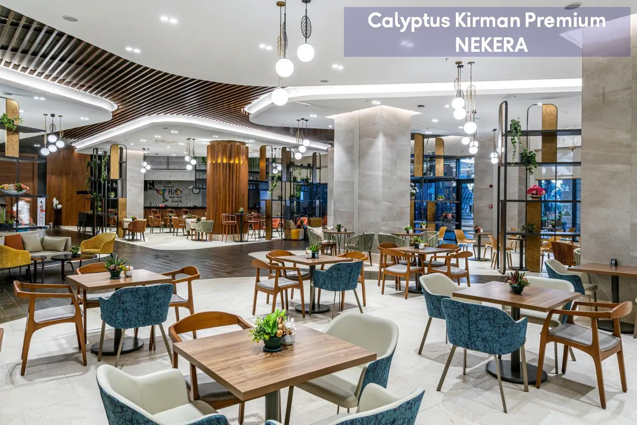 Calyptus Kirman Premium - zdjęcie 19