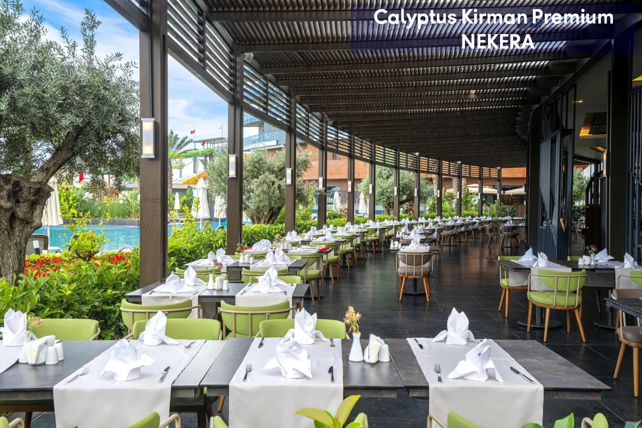 Calyptus Kirman Premium - zdjęcie 15