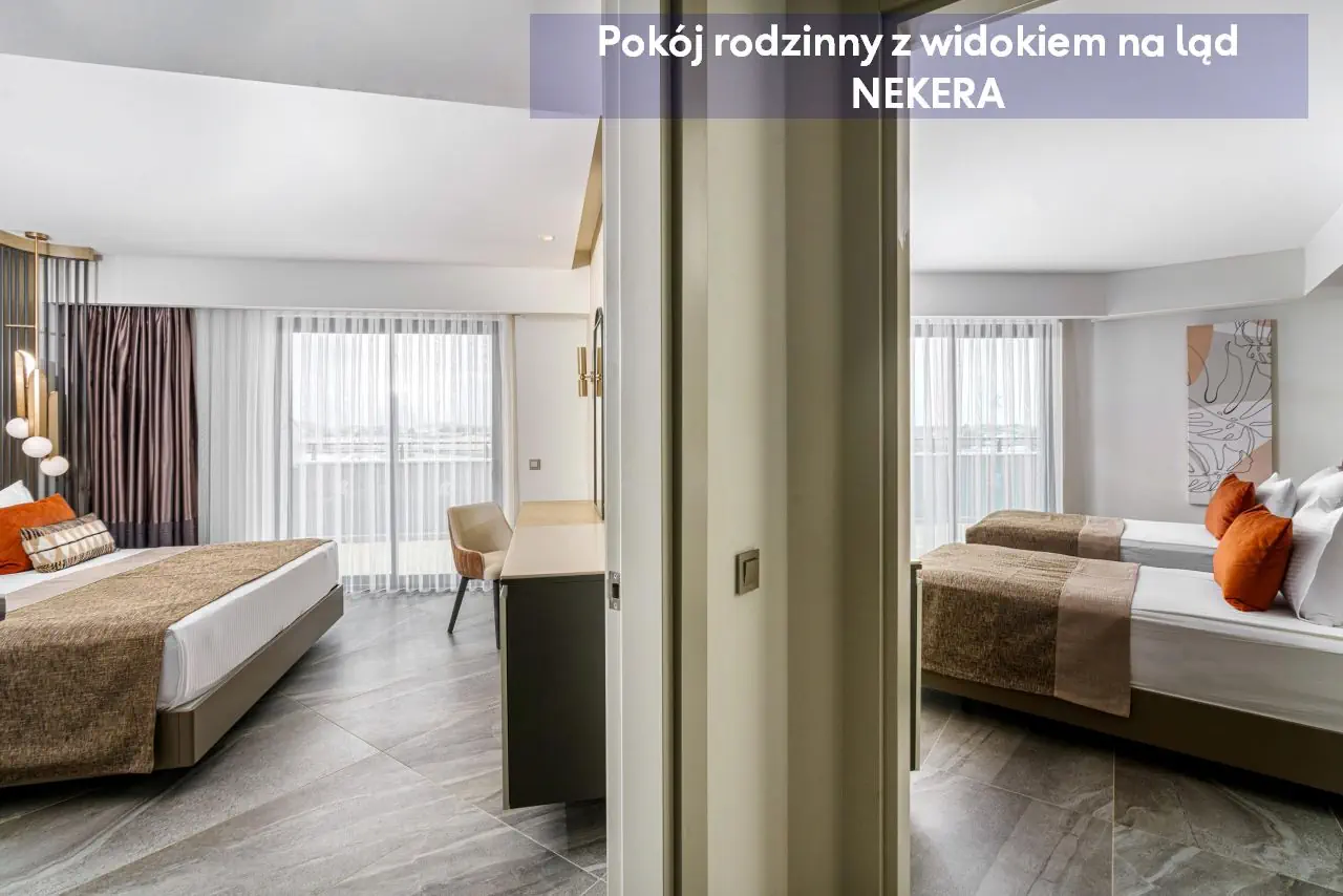 Calyptus Kirman Premium - zdjęcie 28
