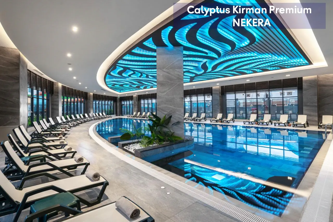 Calyptus Kirman Premium - zdjęcie 9