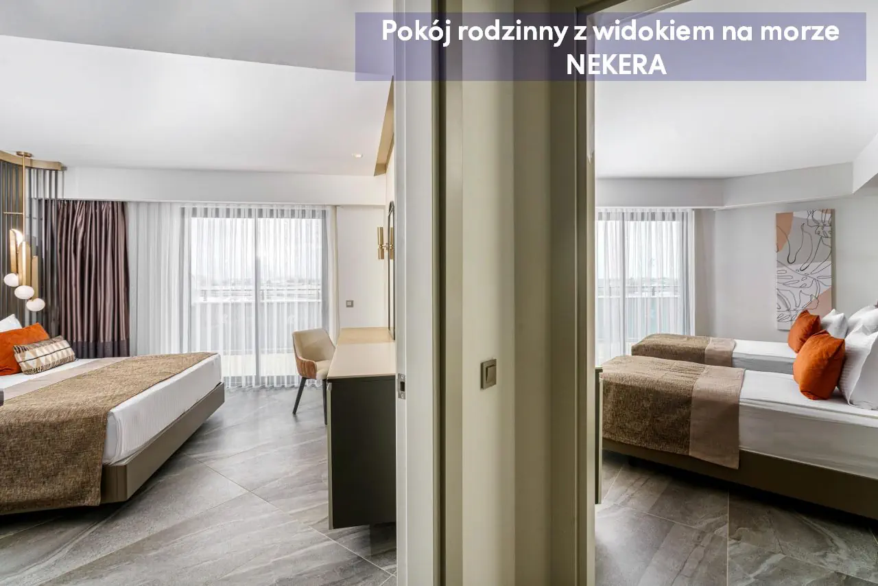 Calyptus Kirman Premium - zdjęcie 30