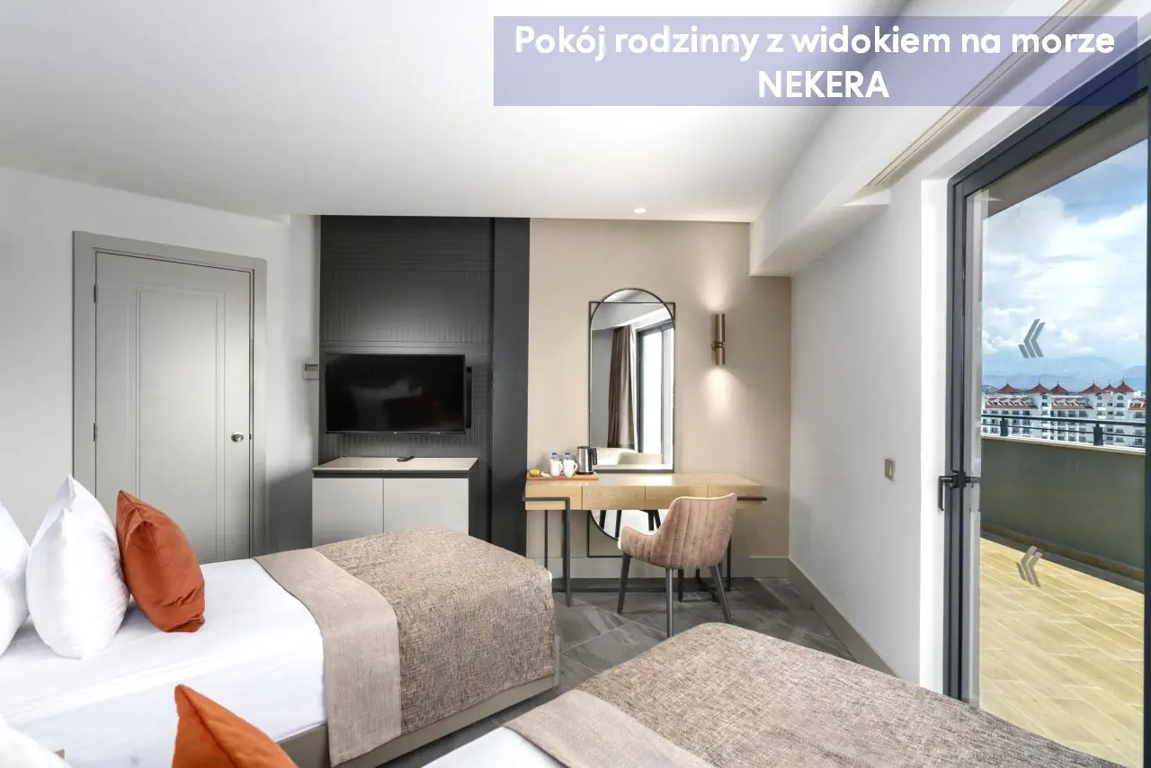Calyptus Kirman Premium - zdjęcie 29
